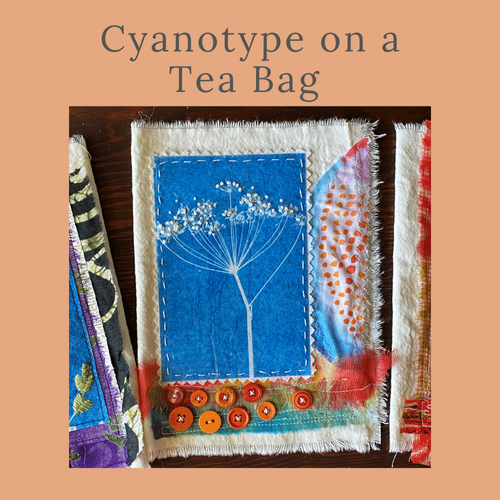 Teabag + Cyanotype Kit