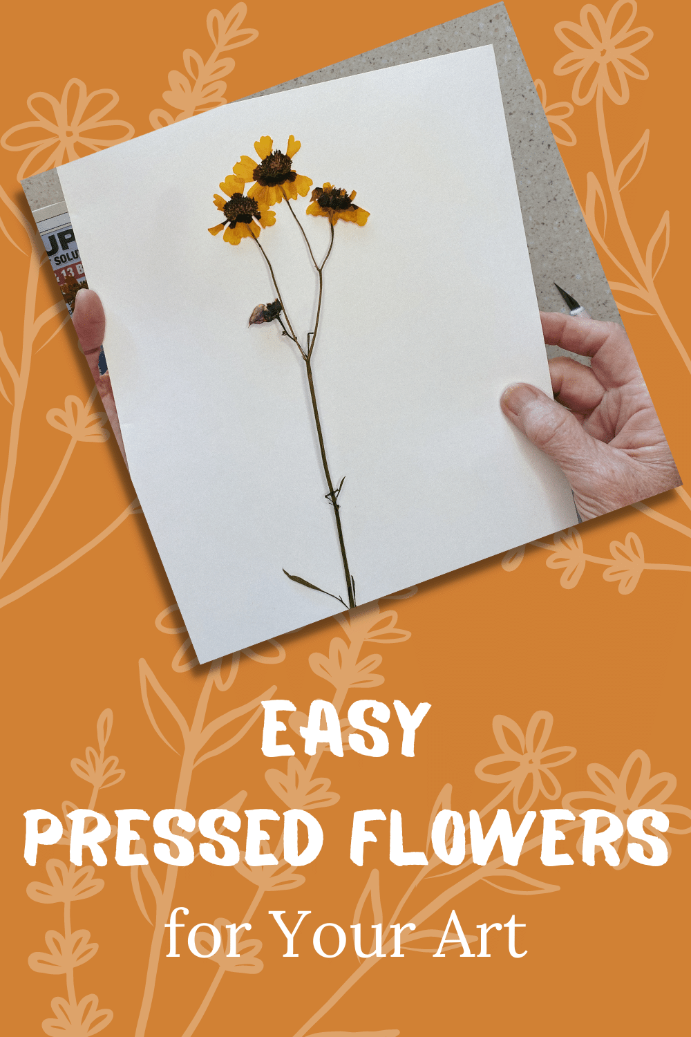 My Pressed Flower Method | Carol Ann Webster — carol ann webster