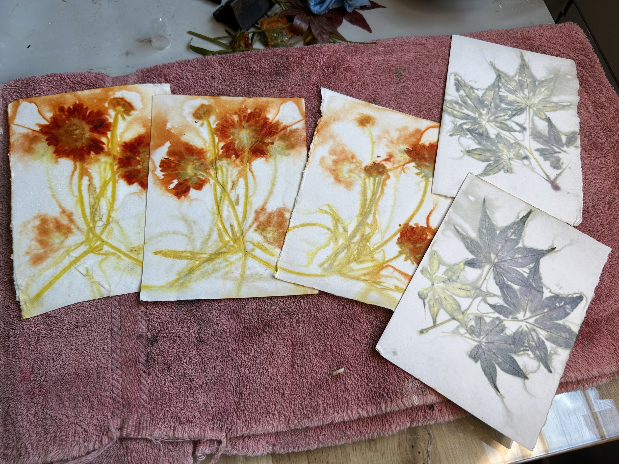 My ecoprinted papers