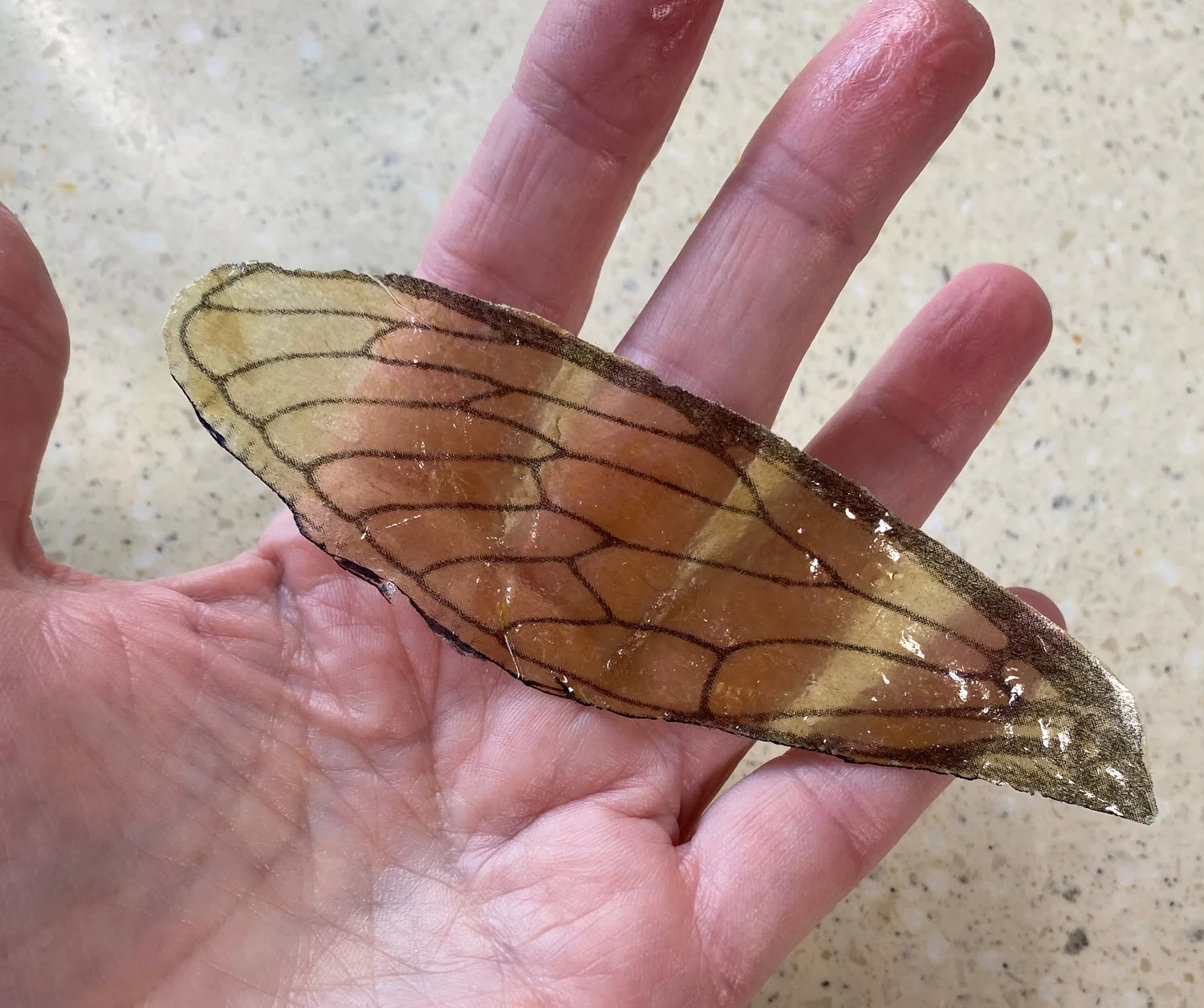 How to Make Dragonfly Wings from a Tea Bag — carol ann webster