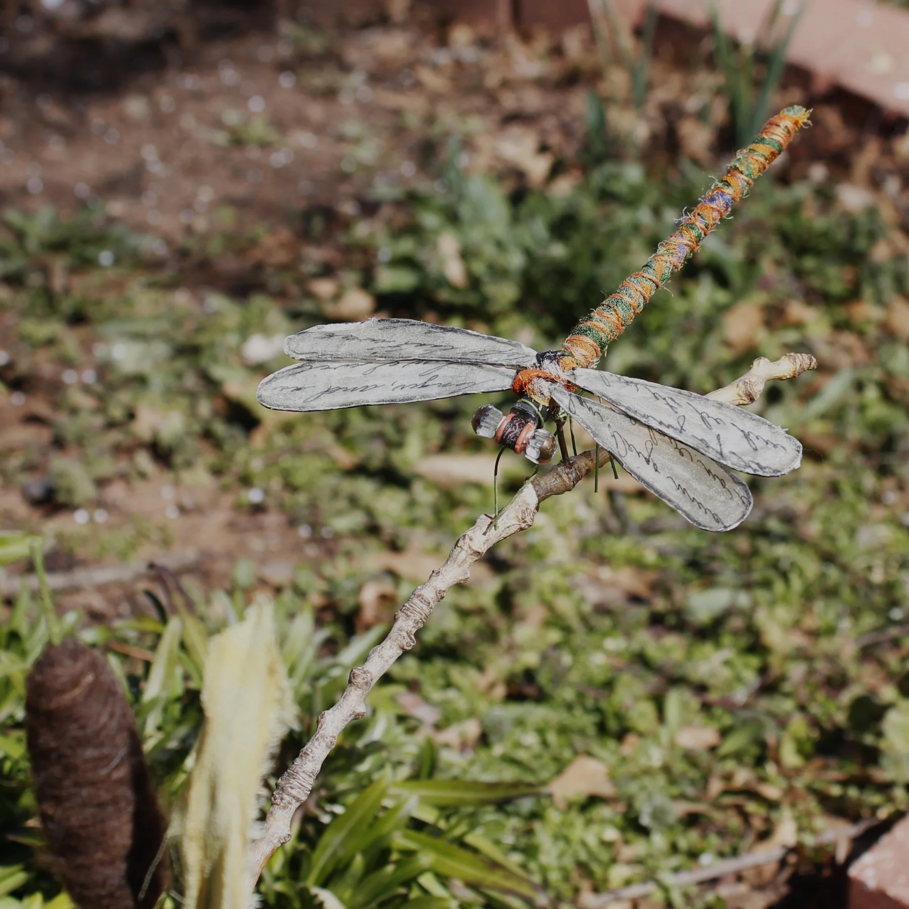 How to Make Dragonfly Wings from a Tea Bag —