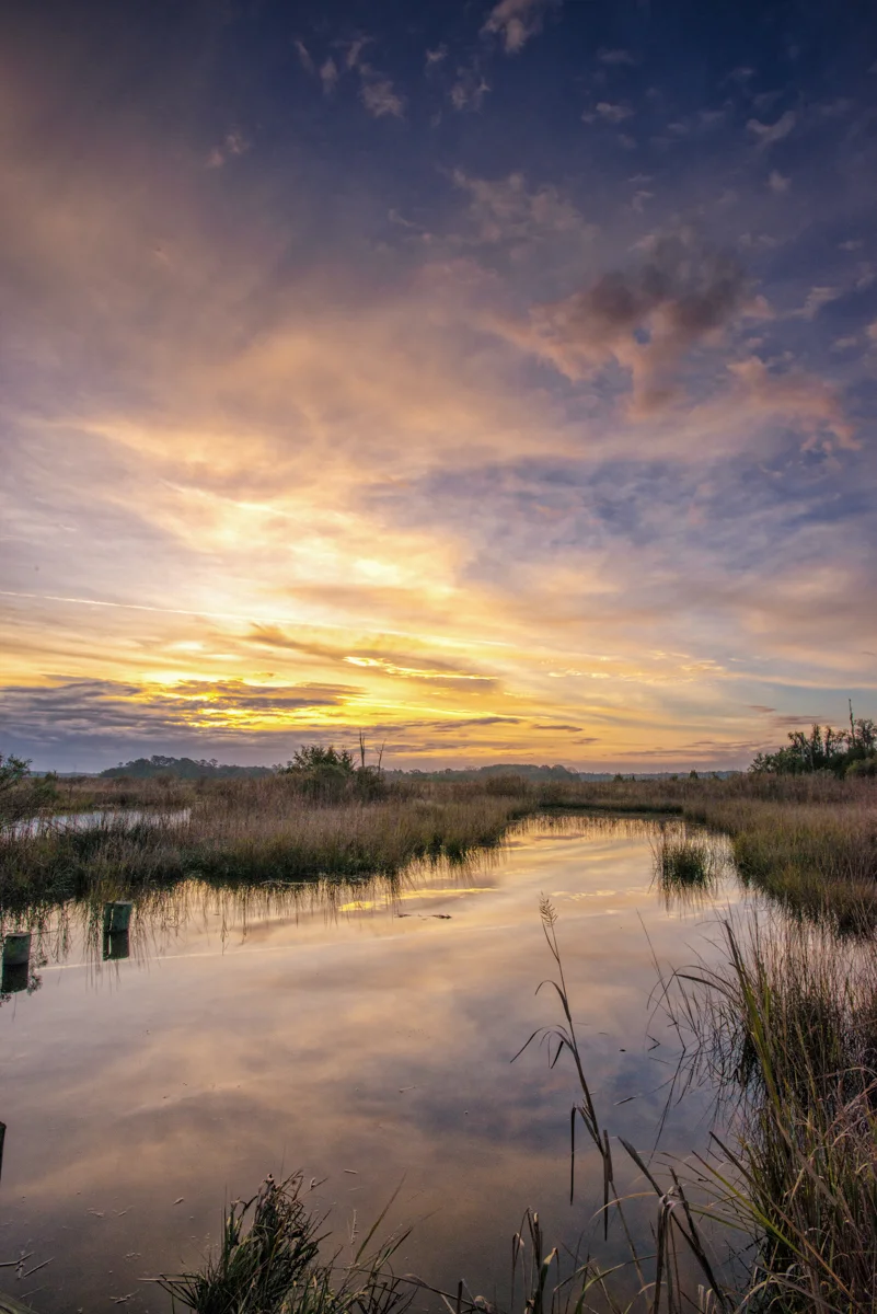 Sunrise Over the Creek