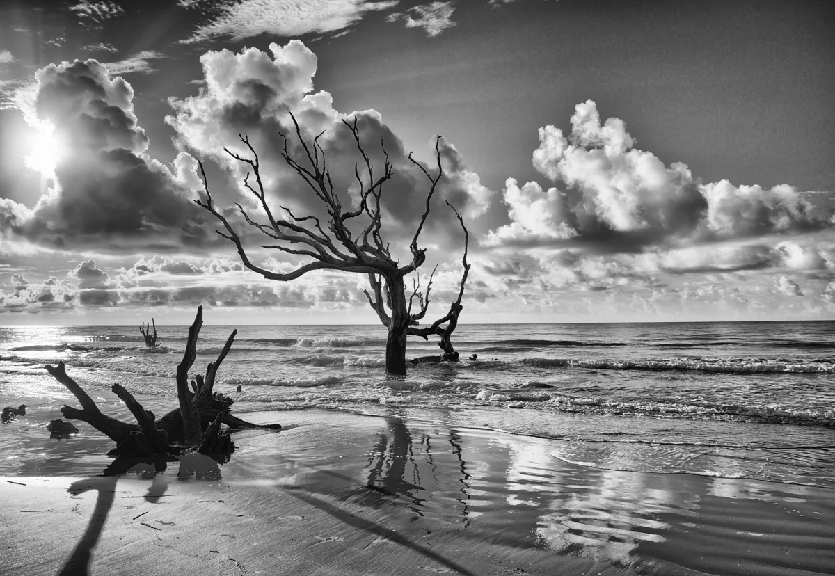 Morning Solitude