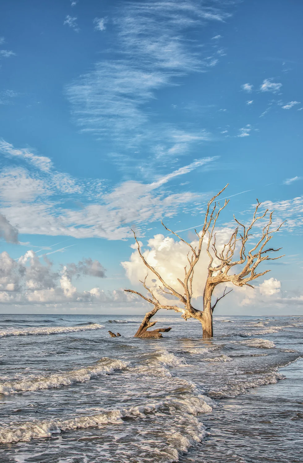 Bull's Island