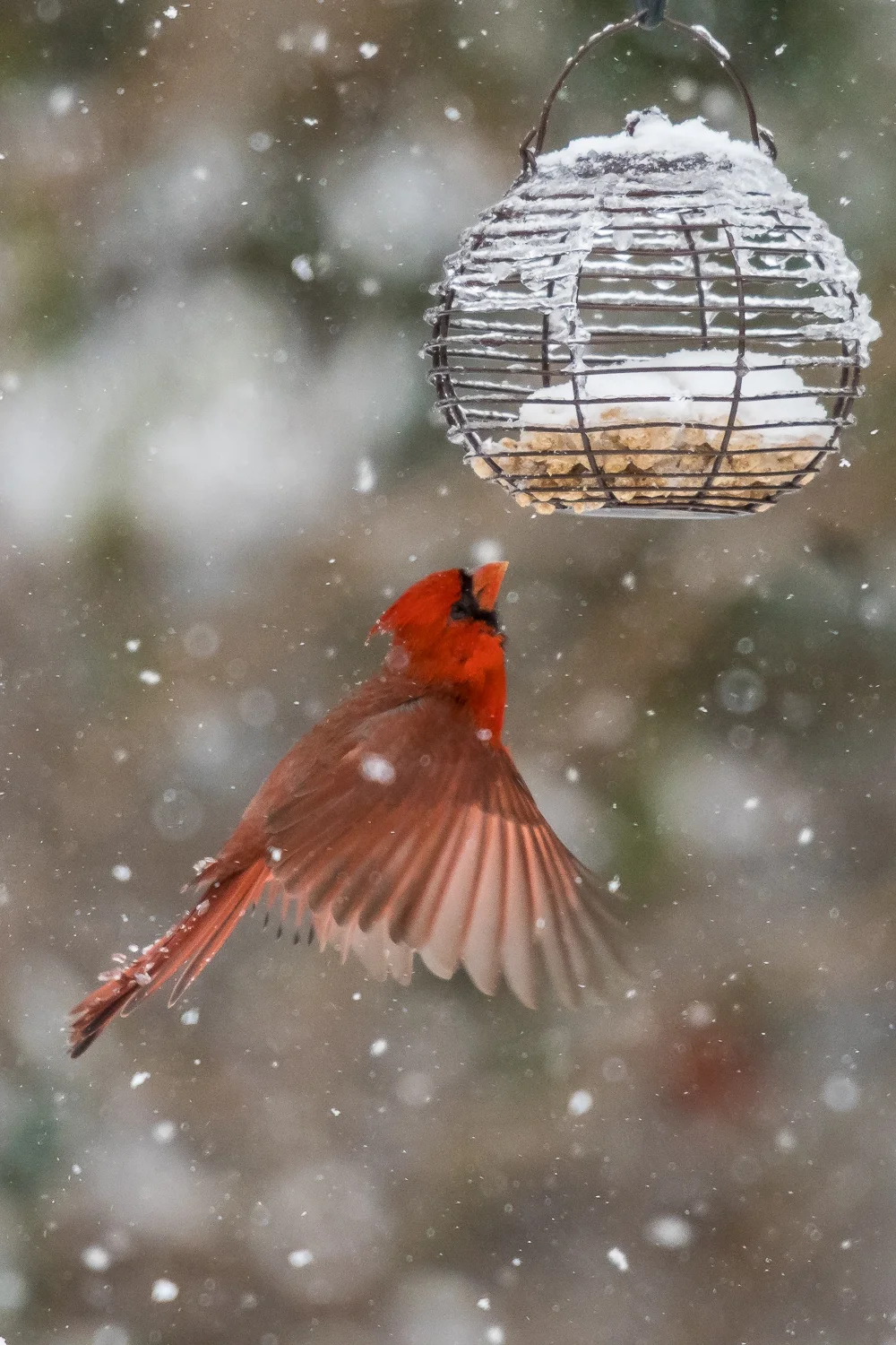 Auto ISO(2200) f5.6 1-1600 360mm (1 of 1).jpg