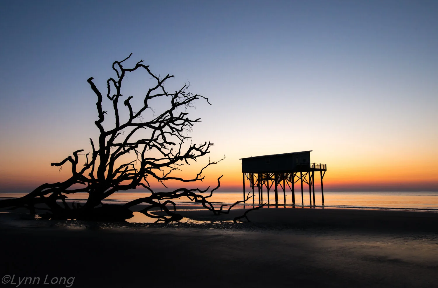 Reaching For Sunrise