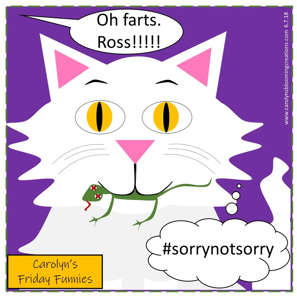 Carolyn's Friday Funnies: Here Le-Zard! — DIY Home Improvements Carolyn ...