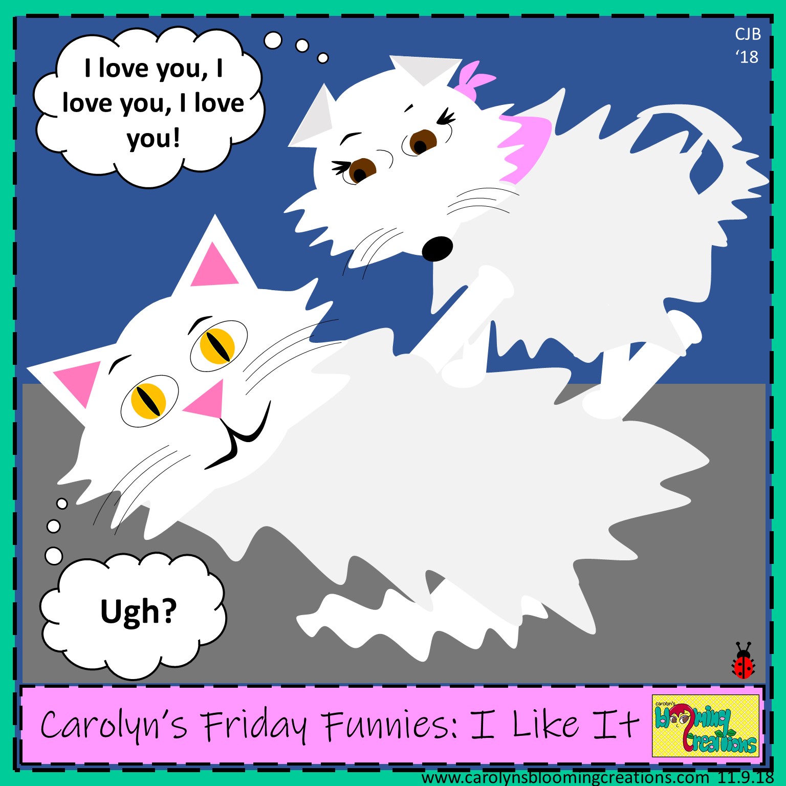 Carolyn Braden friday funny I like it.jpg