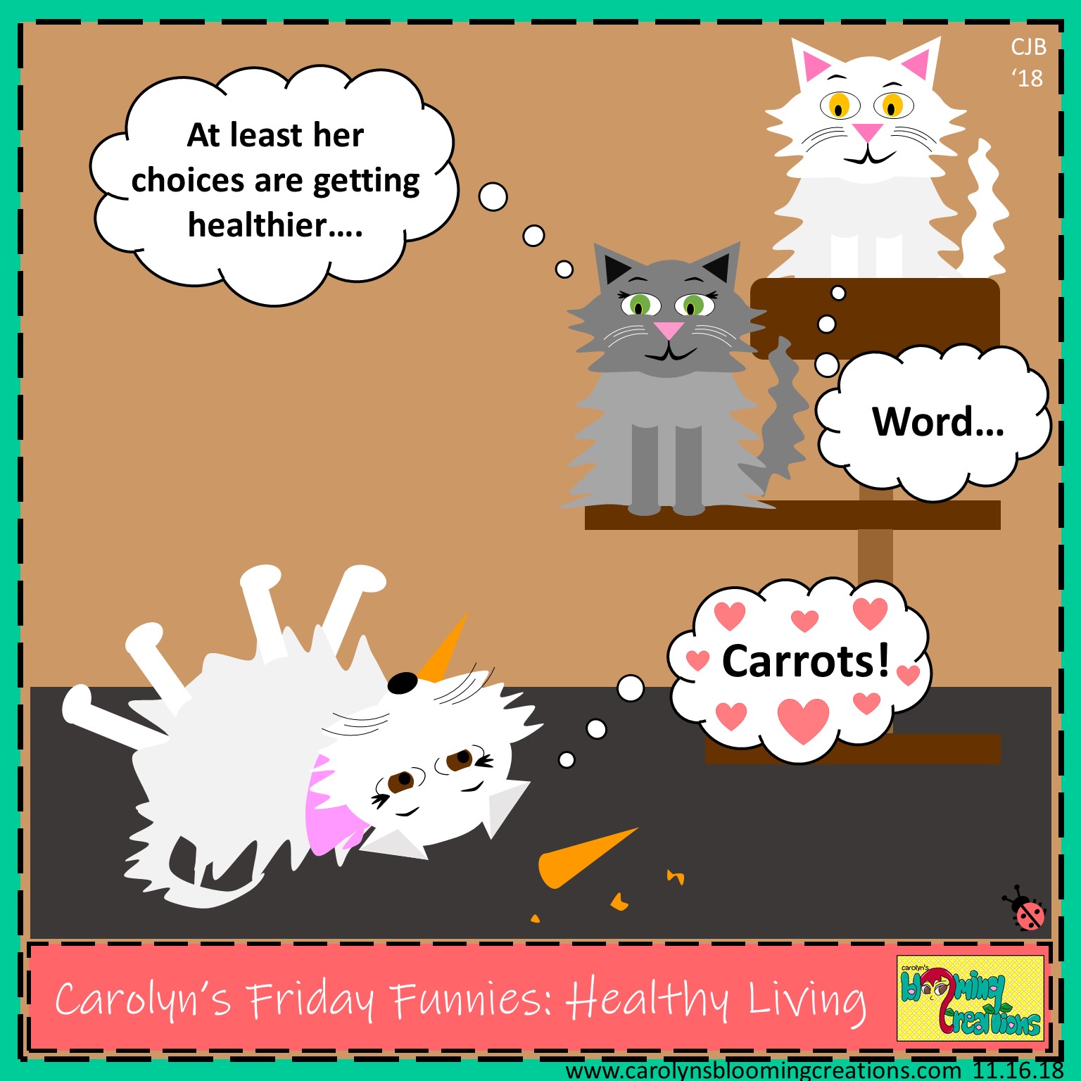 Carolyn Braden friday funny healthy living.jpg