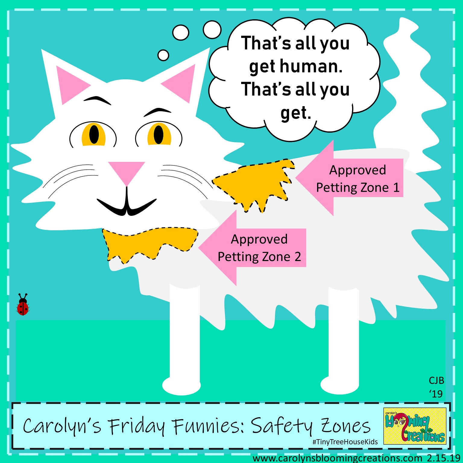 Carolyn Braden friday funny Safety Zones.jpg