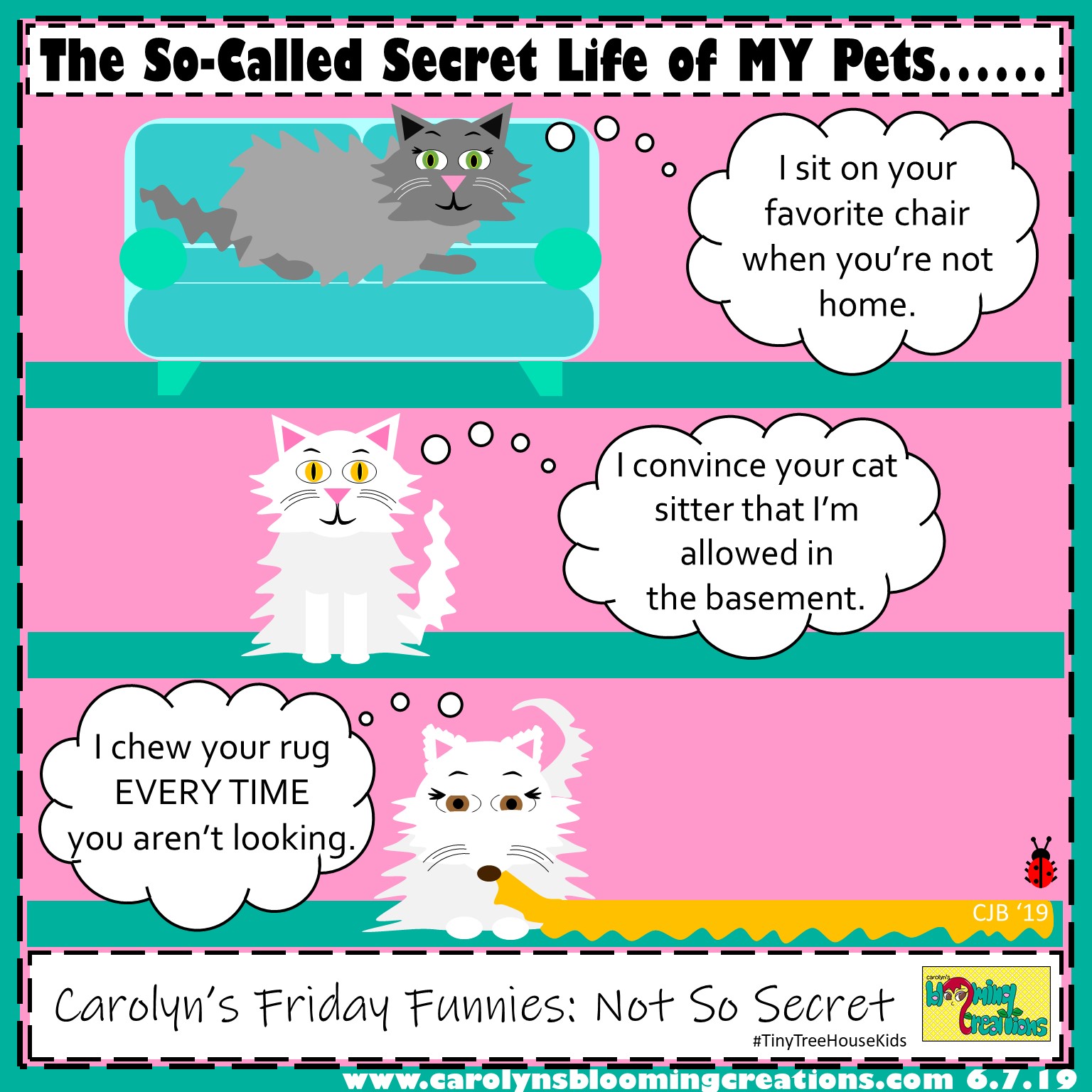 Carolyn Braden friday funny Not So Secret.jpg