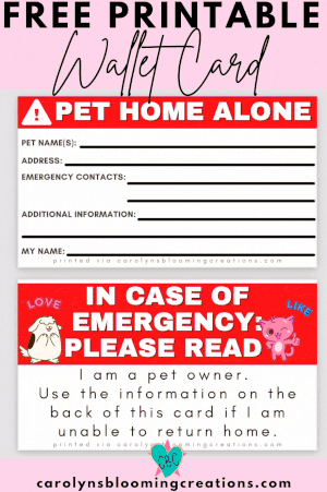How to Set Up Care for Your Pet + FREE EMERGENCY WALLET CARD PRINTABLE — DIY Home Improvements ...