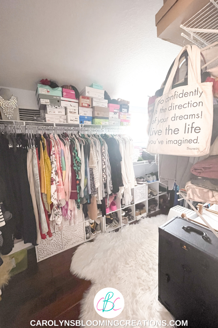 Ultimate Guide to Beauty and Closet Organization — DIY Home ...