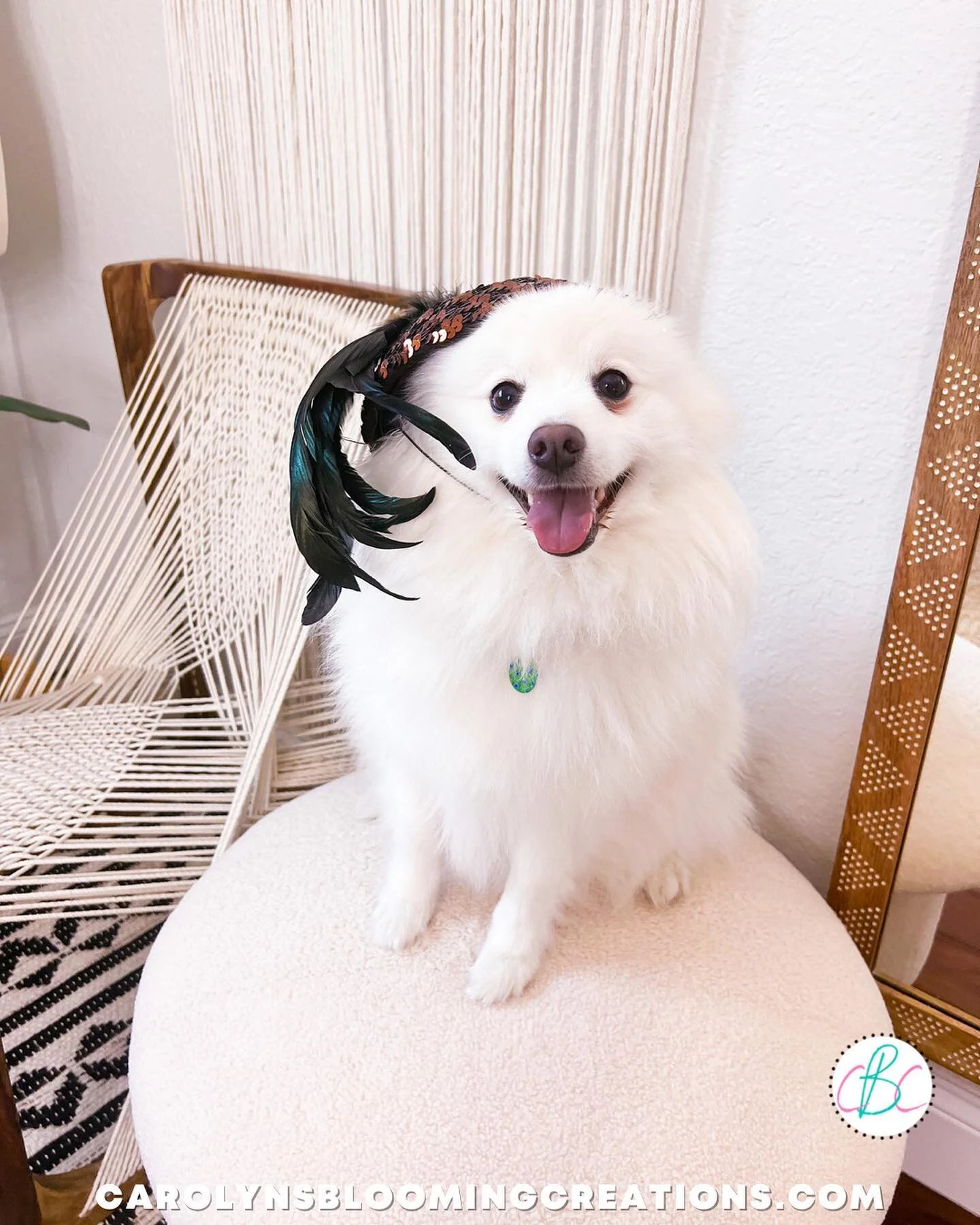 Another retro fashion I love-HATS!!! I love hats, and Johnny Cash looks FAB in this vintage one that belonged to my grandmother. 

He always wants to be where I am, doing whatever it is I&rsquo;m doing soooo&hellip;he got to help me model🥰 Have a ha
