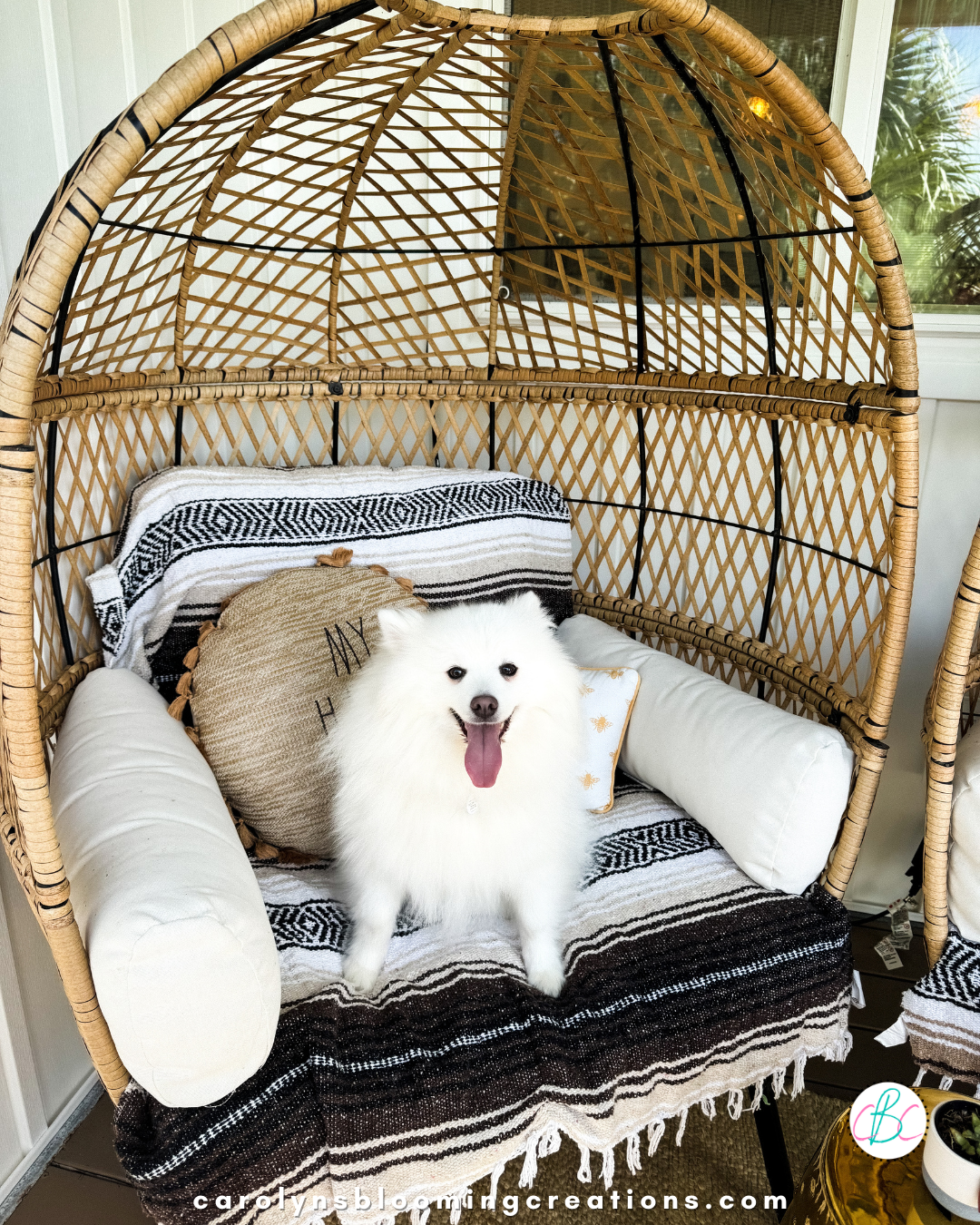 Walmart Egg Chairs