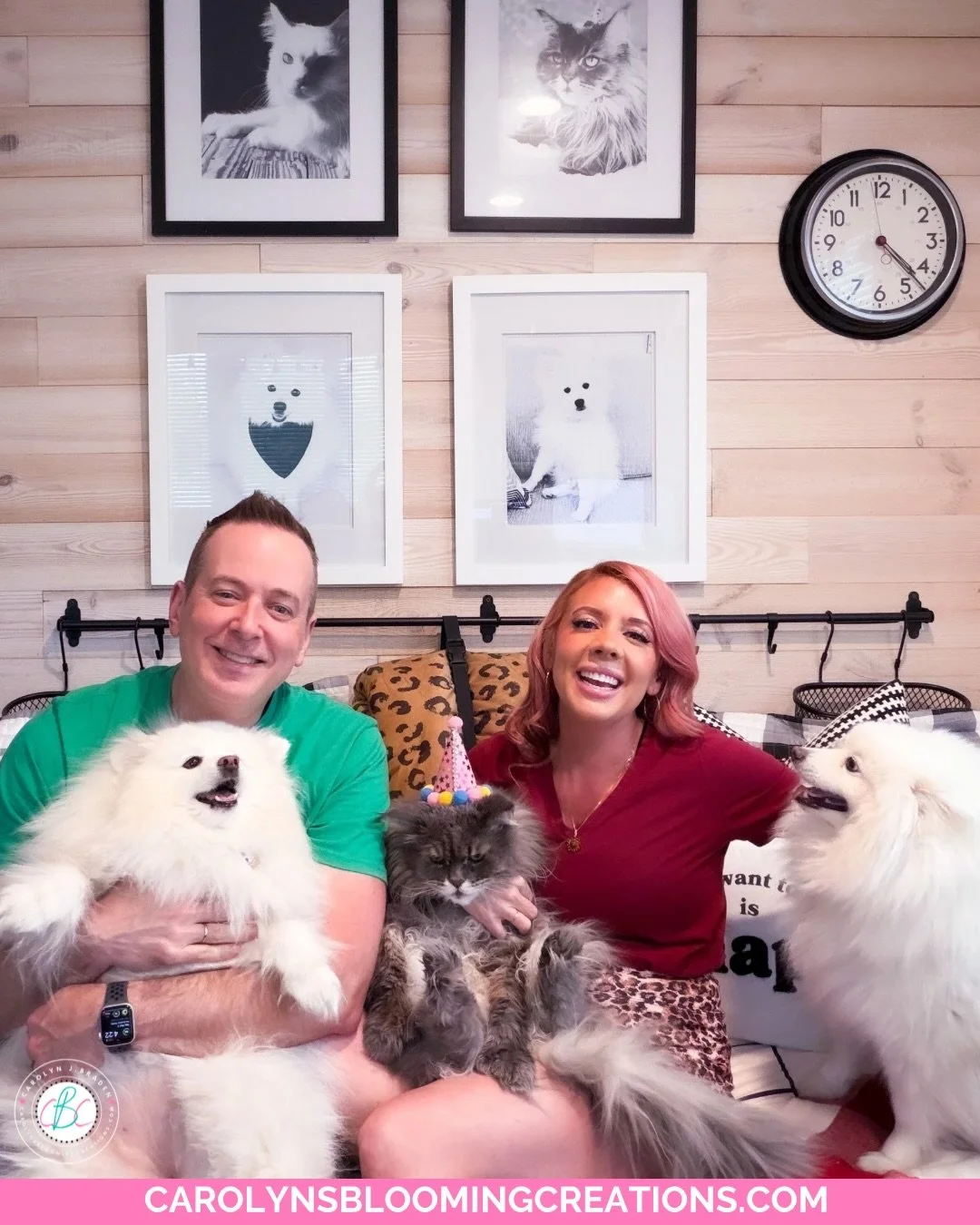 Sweet 16 and still running the house like she pays the bills 👑🐾
Happy Birthday to our 16-year-old Maine Coon queen, Monica! Here&rsquo;s our silly fur fam in full celebration mode (aka bribed with treats and Monica is purring while judging us for m