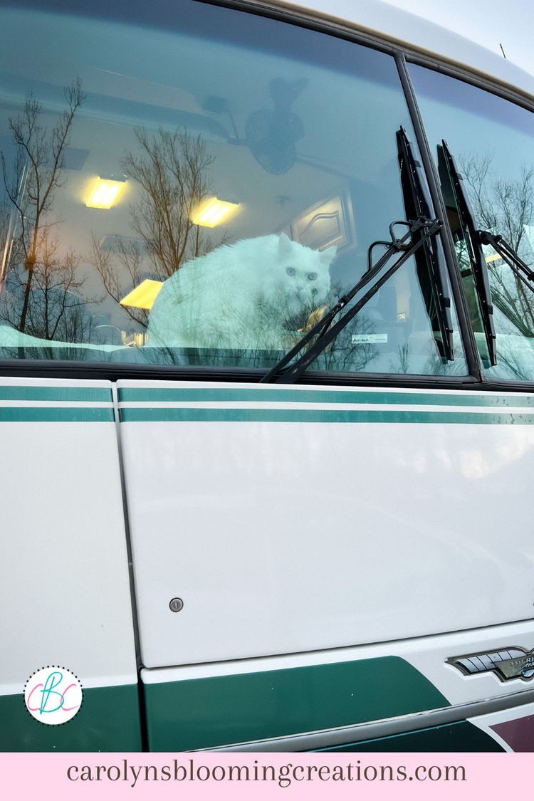 Our Hurricane Ian Story Part Five — DIY Home Improvements Carolyn's ...