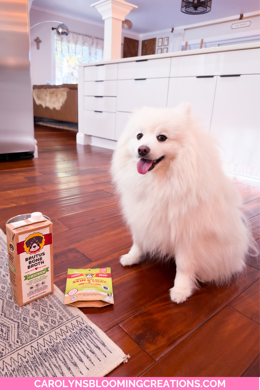 Pet Parent Approved: Our Most-Loved Pet Products