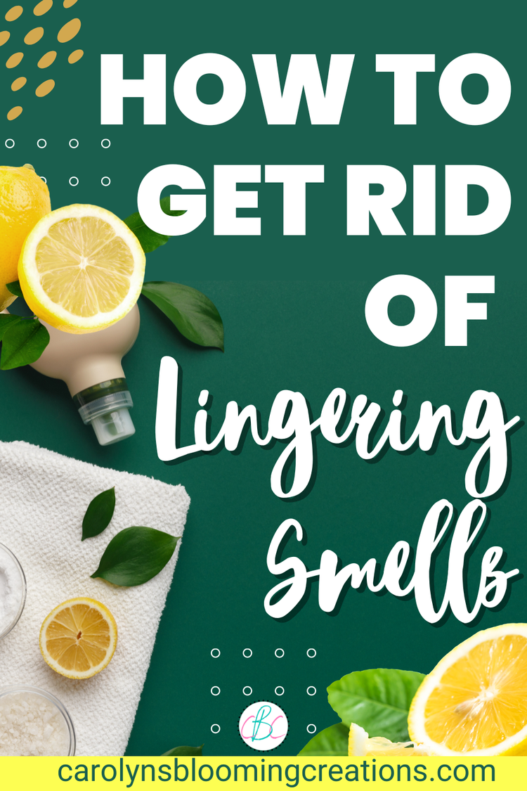 How To Get Rid of Lingering Smells — DIY Home Improvements Carolyn's