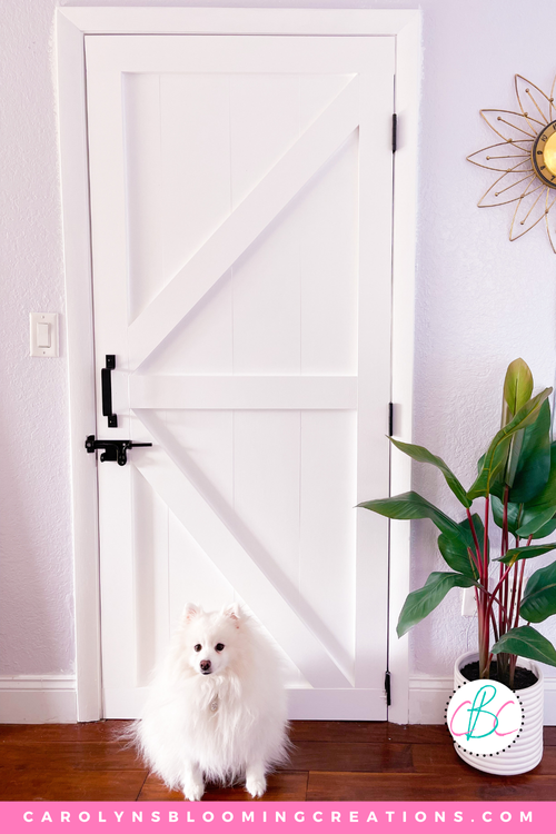Barn Door Animal Ideas