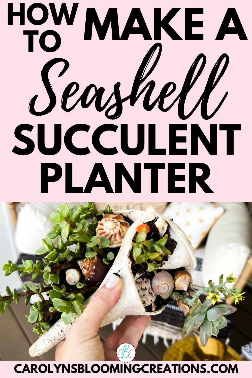 How to Make a Seashell Succulent Planter — DIY Home Improvements Carolyn's  Blooming Creations