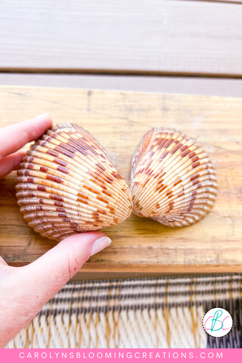 Scallop Shells For Crafts Large Sea Shells For Decorating - Temu