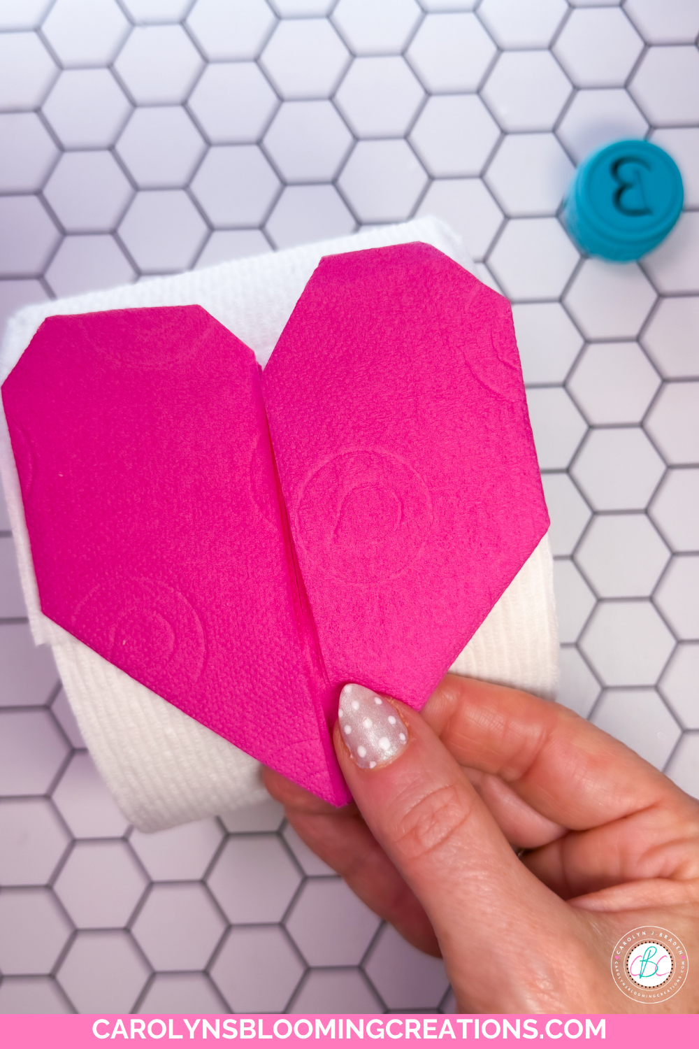 Carolyn Braden's Affordable Home Decorating Idea with Colorful Toilet Paper