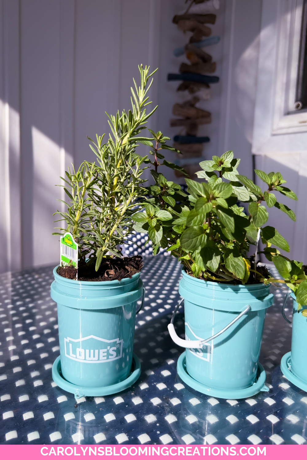 Lowe's Mini Bucket Planter Gift Idea