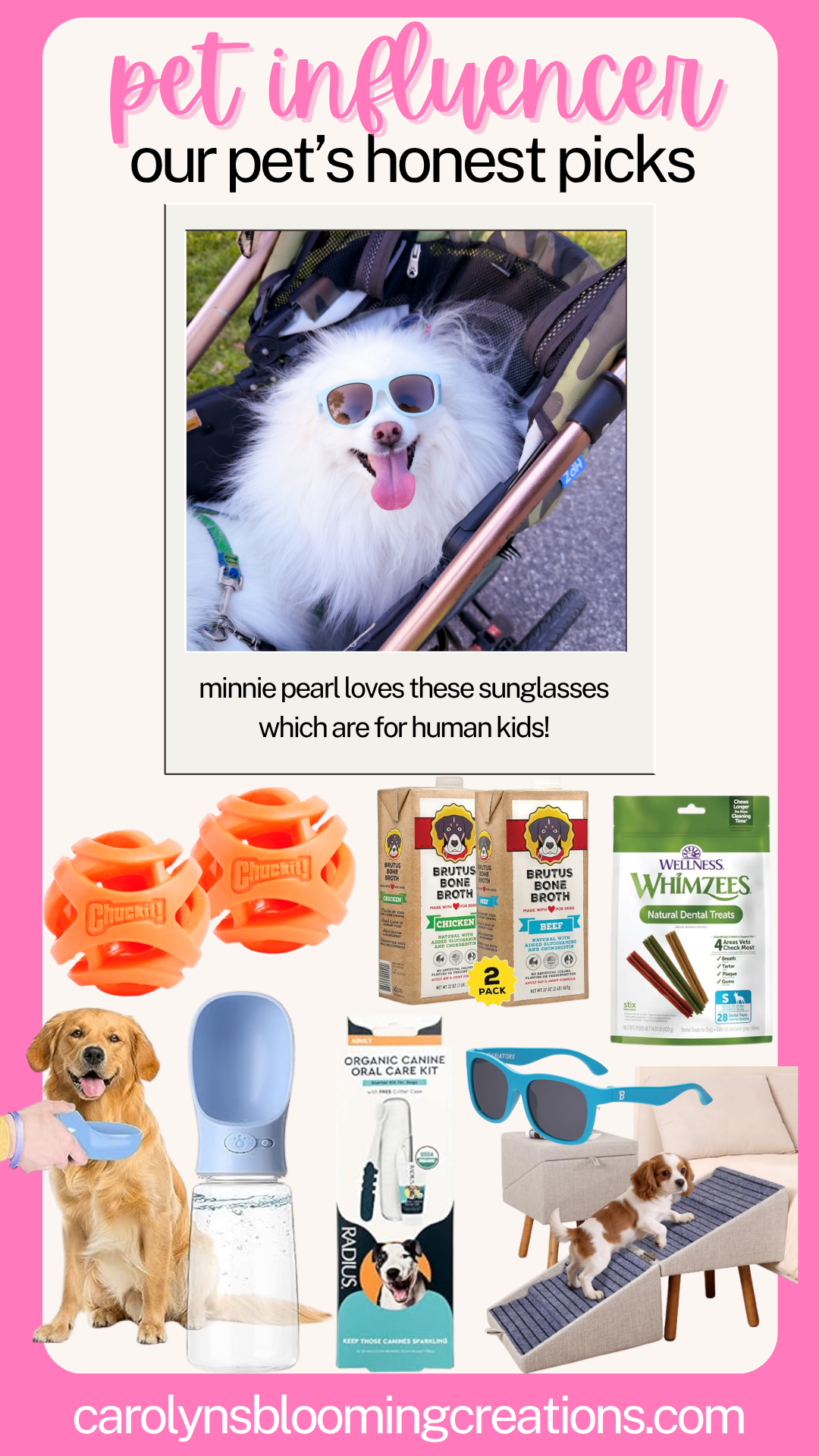 Our Dogs' Favorite Toys, Treats, and Travel Essentials