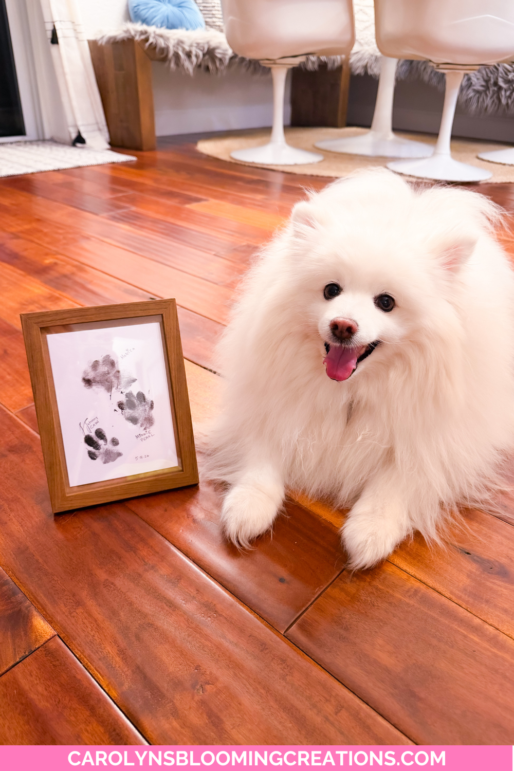 Pet Keepsake Ideas: Create Inkless Paw Print Art