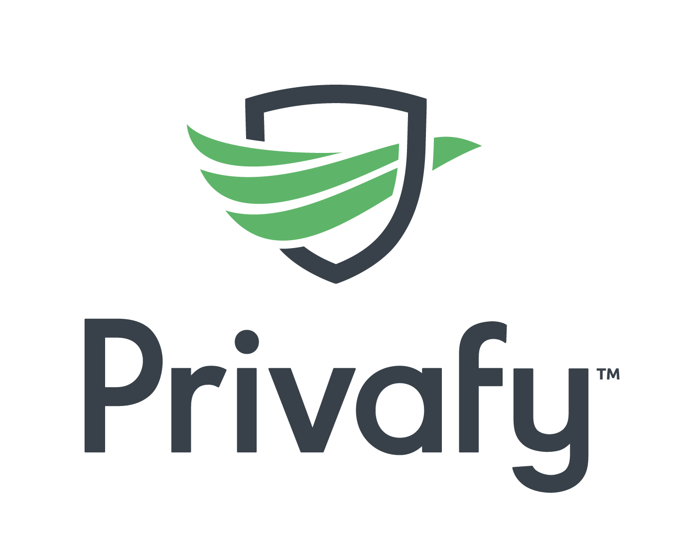 Privafy-Stacked-Lockup-Color-RGB@2x.png