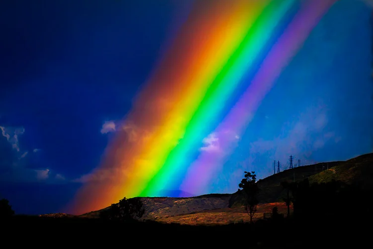 A Fleeting Moment of Beauty