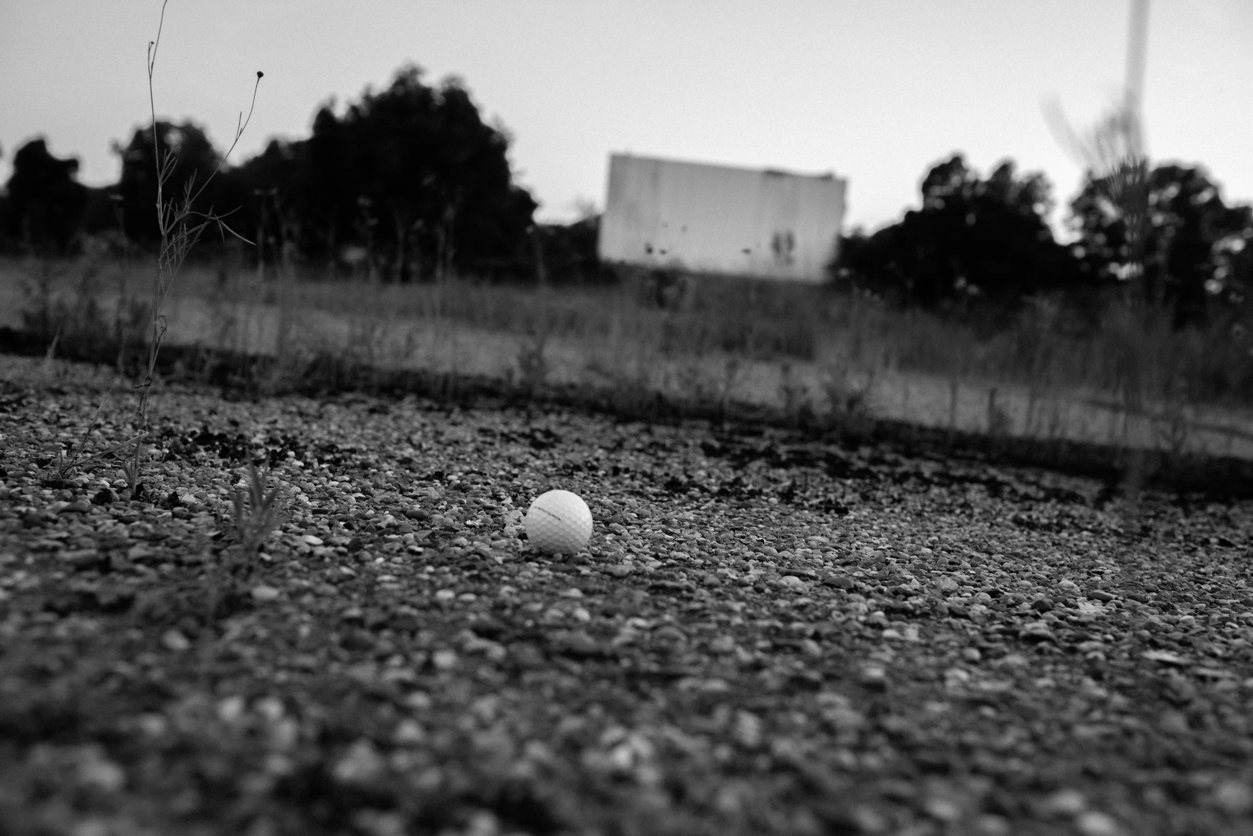 218A0123.jpg