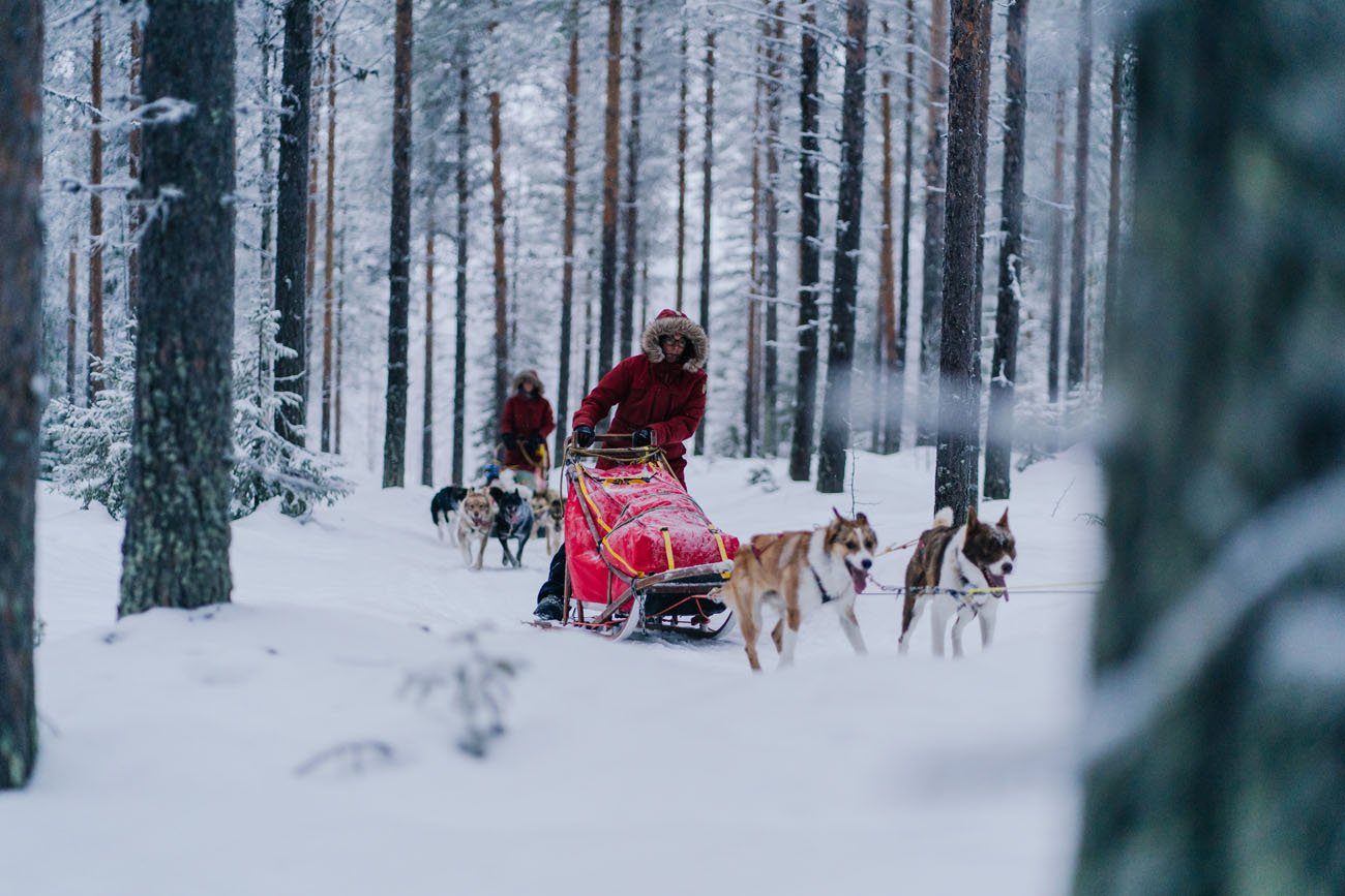 Husky-Ranch-Full-Day-Husky-Adventure-4.jpg