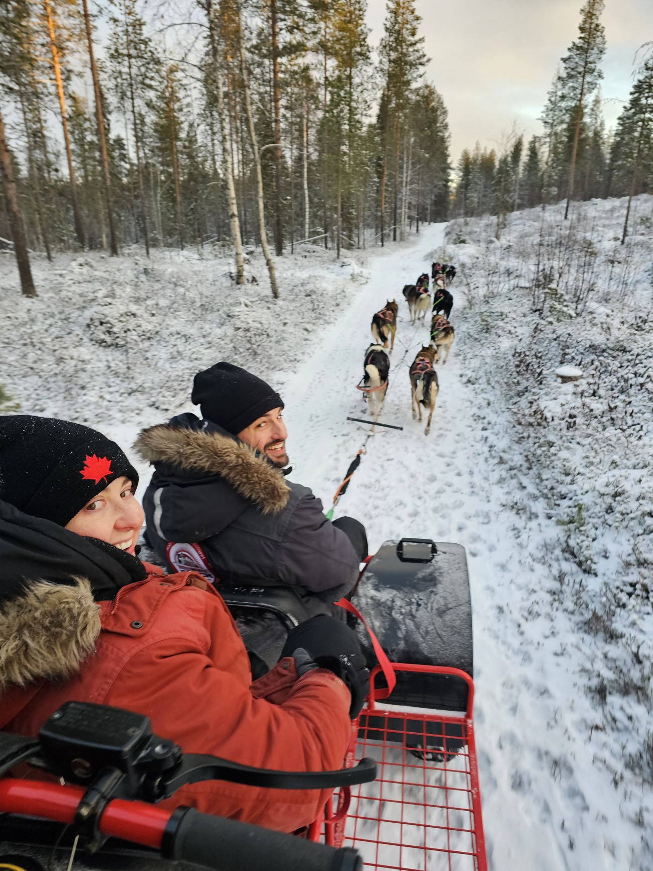 Husky-ranch-Autumn-cart-rides-1.jpg