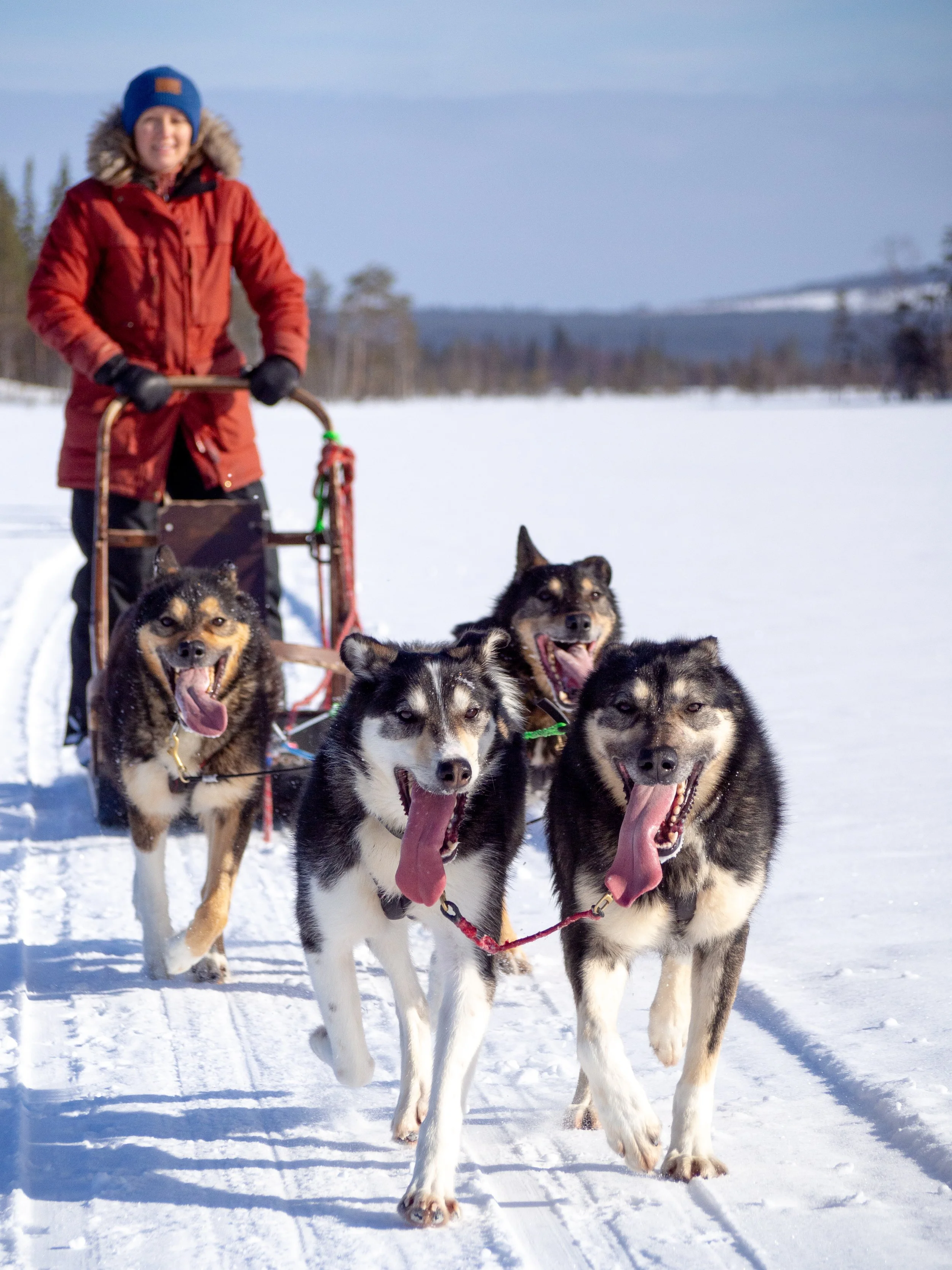 asiakas ohjaa rekeä.jpg