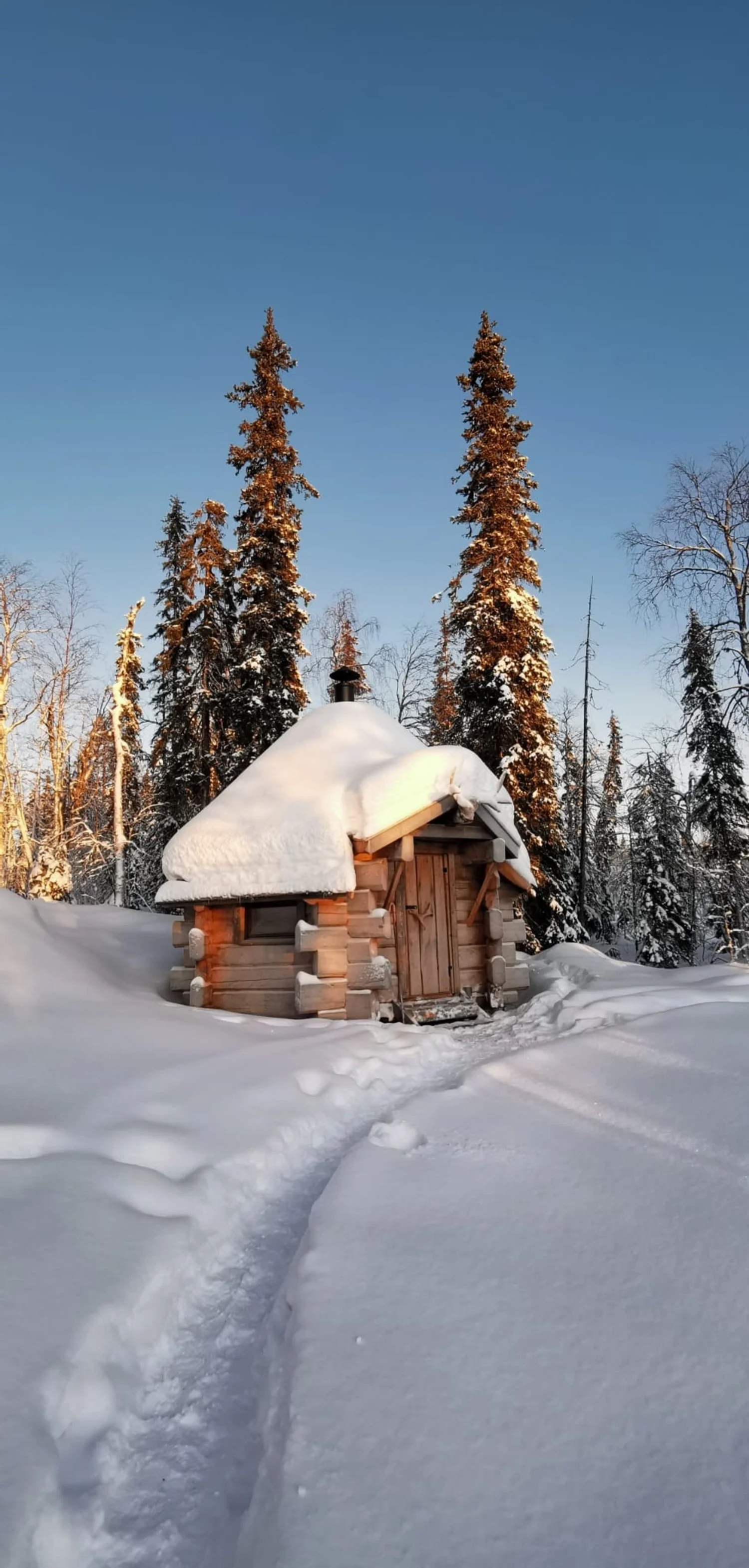 wilderness hut2.jpg