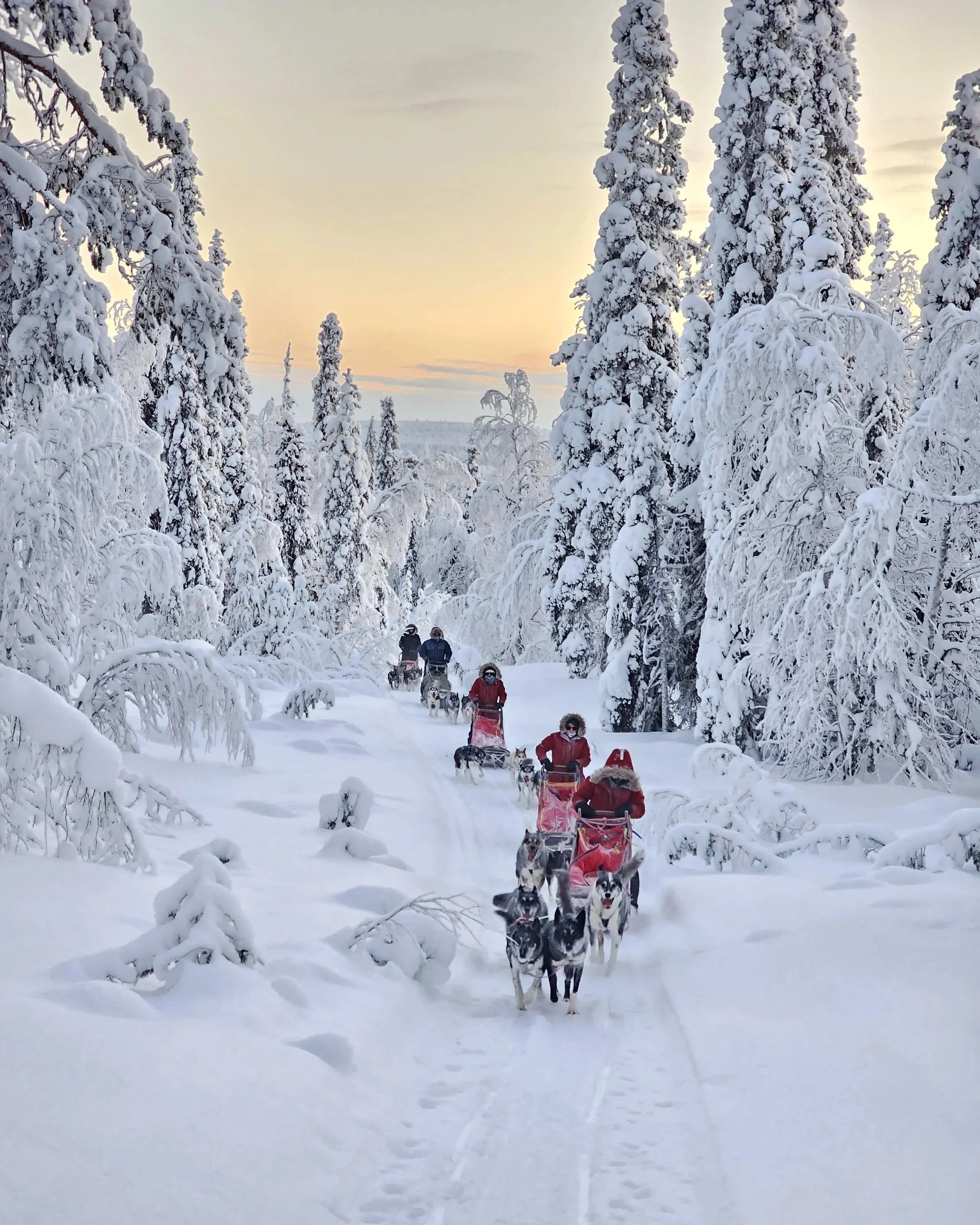 Full+day+husky+adventure.jpg