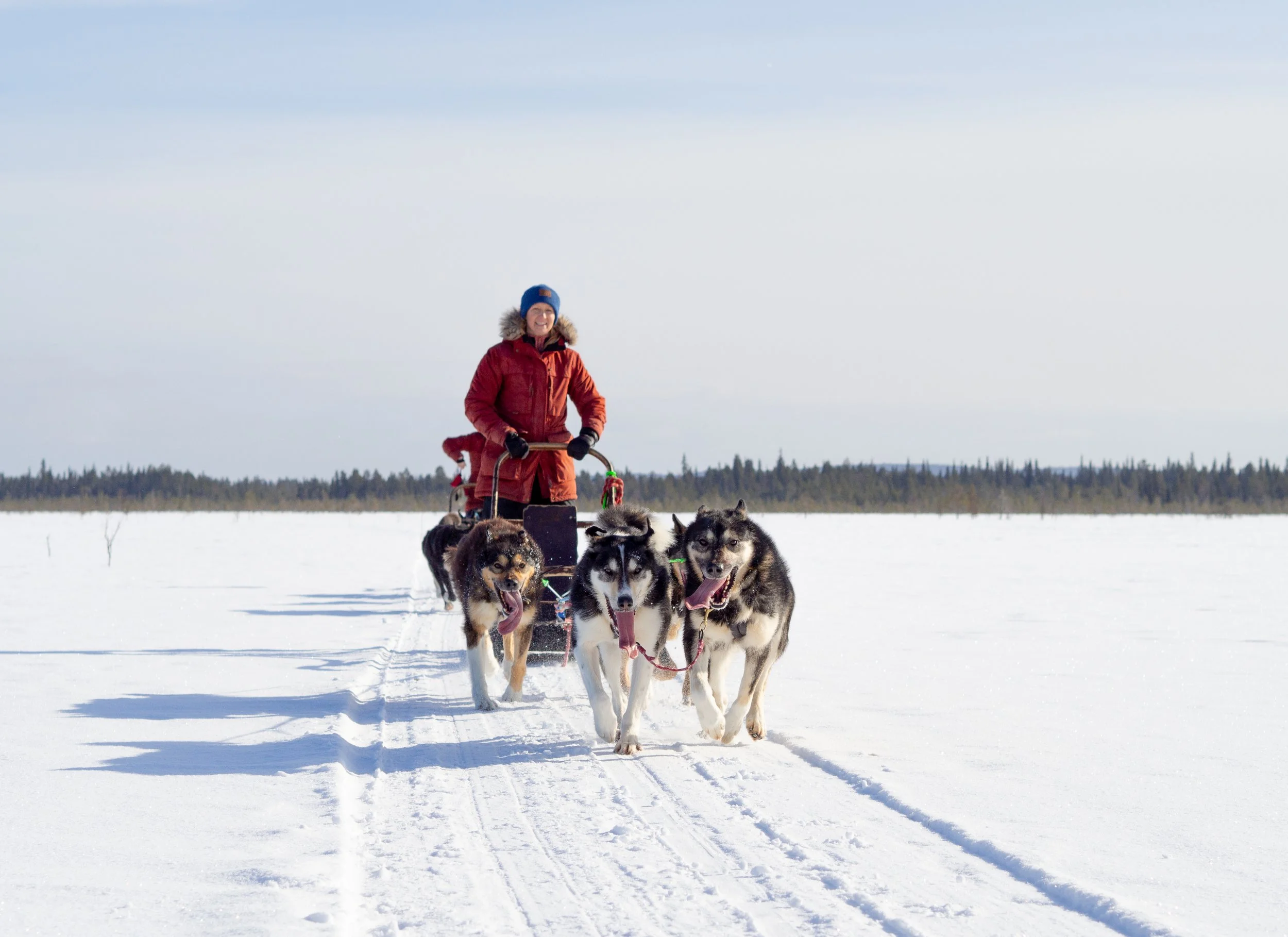 Driving your own huskyteam.jpg