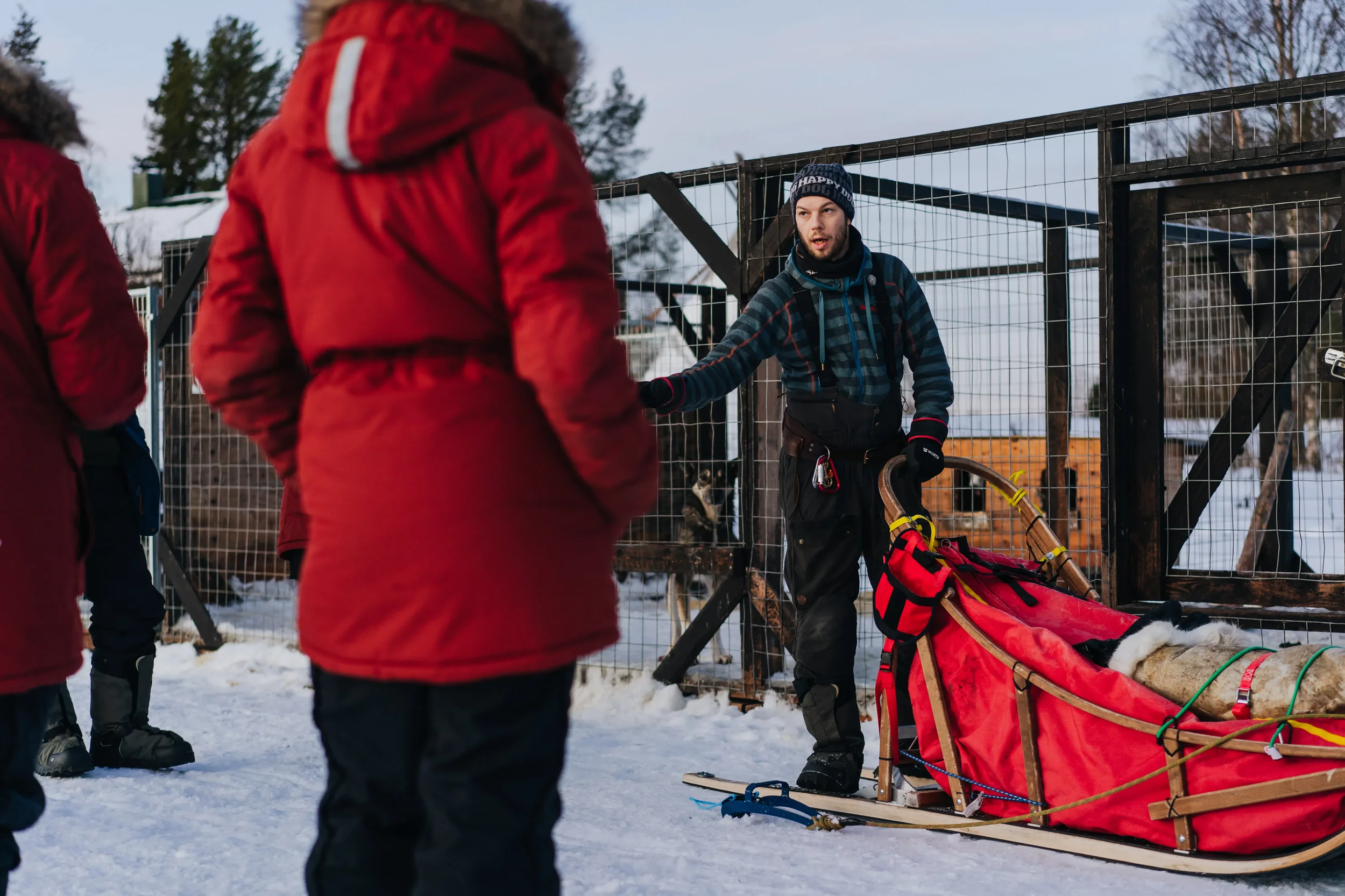 Taiga-Forest-Husky-Tour-6.webp
