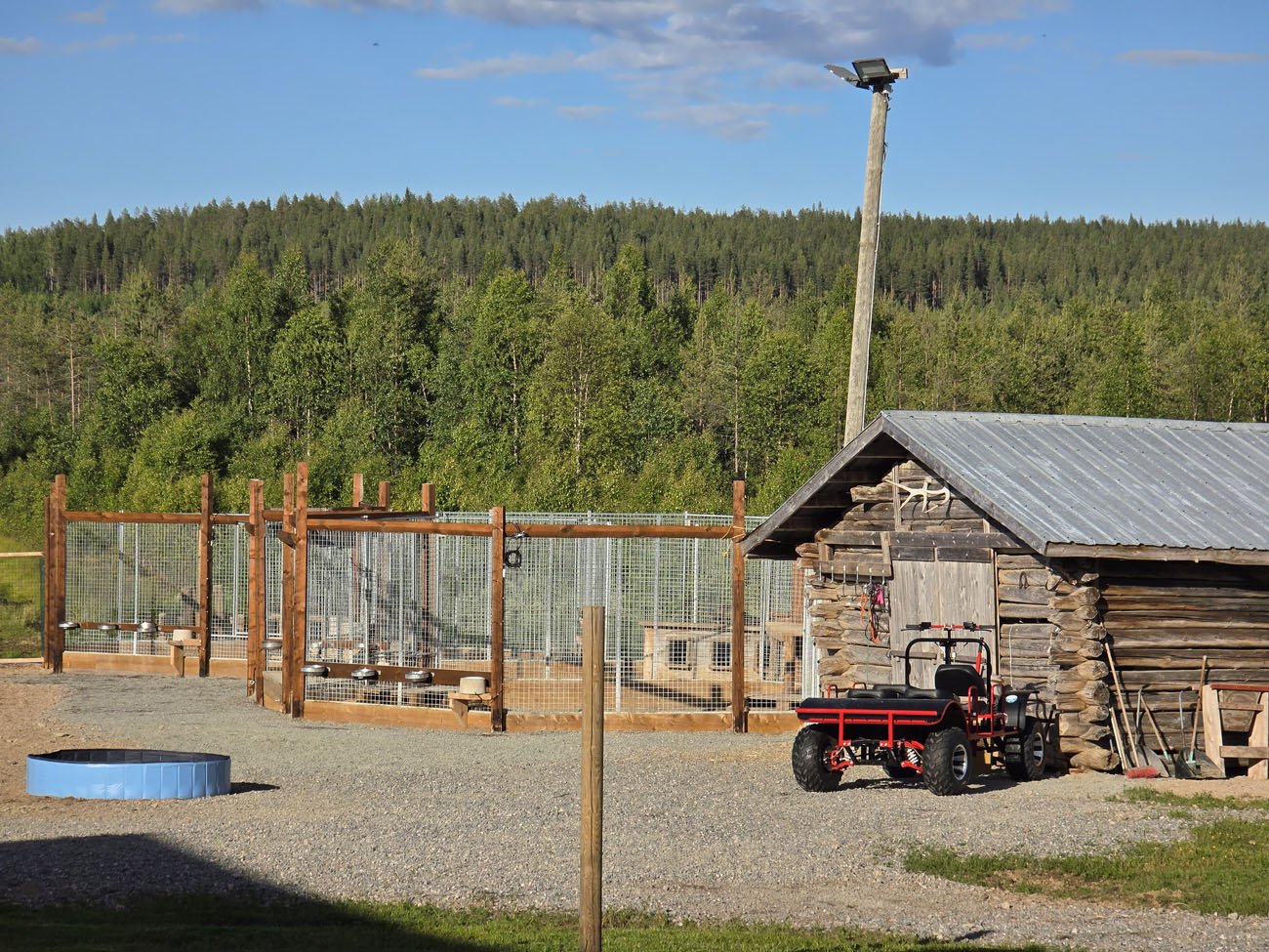 Husky-Ranch-Dogs-1.jpg