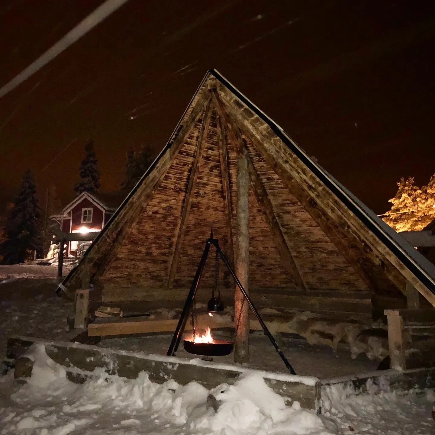 Taiga-Forest-Husky-Tour-5.webp