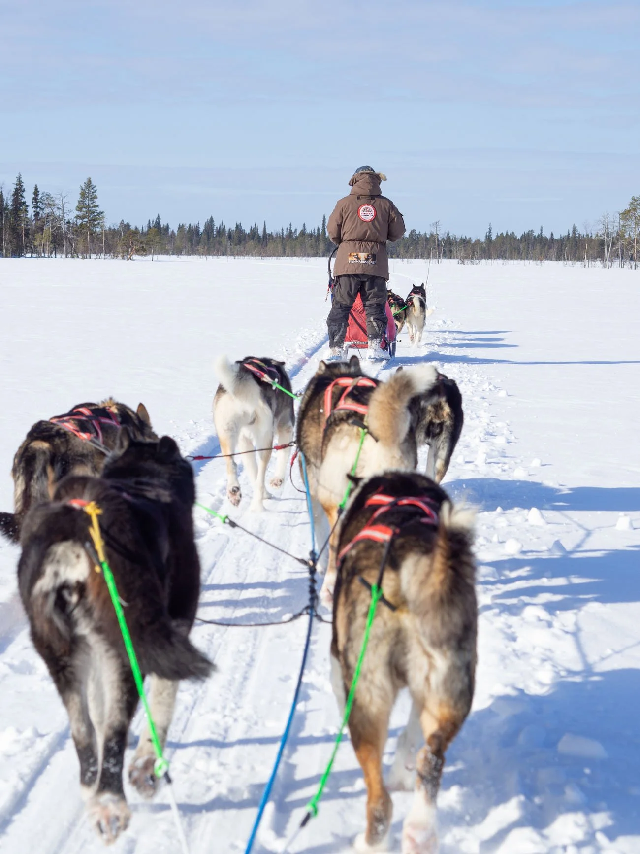 Husky-Ranch-Half-Day-Husky-tour-2.jpg