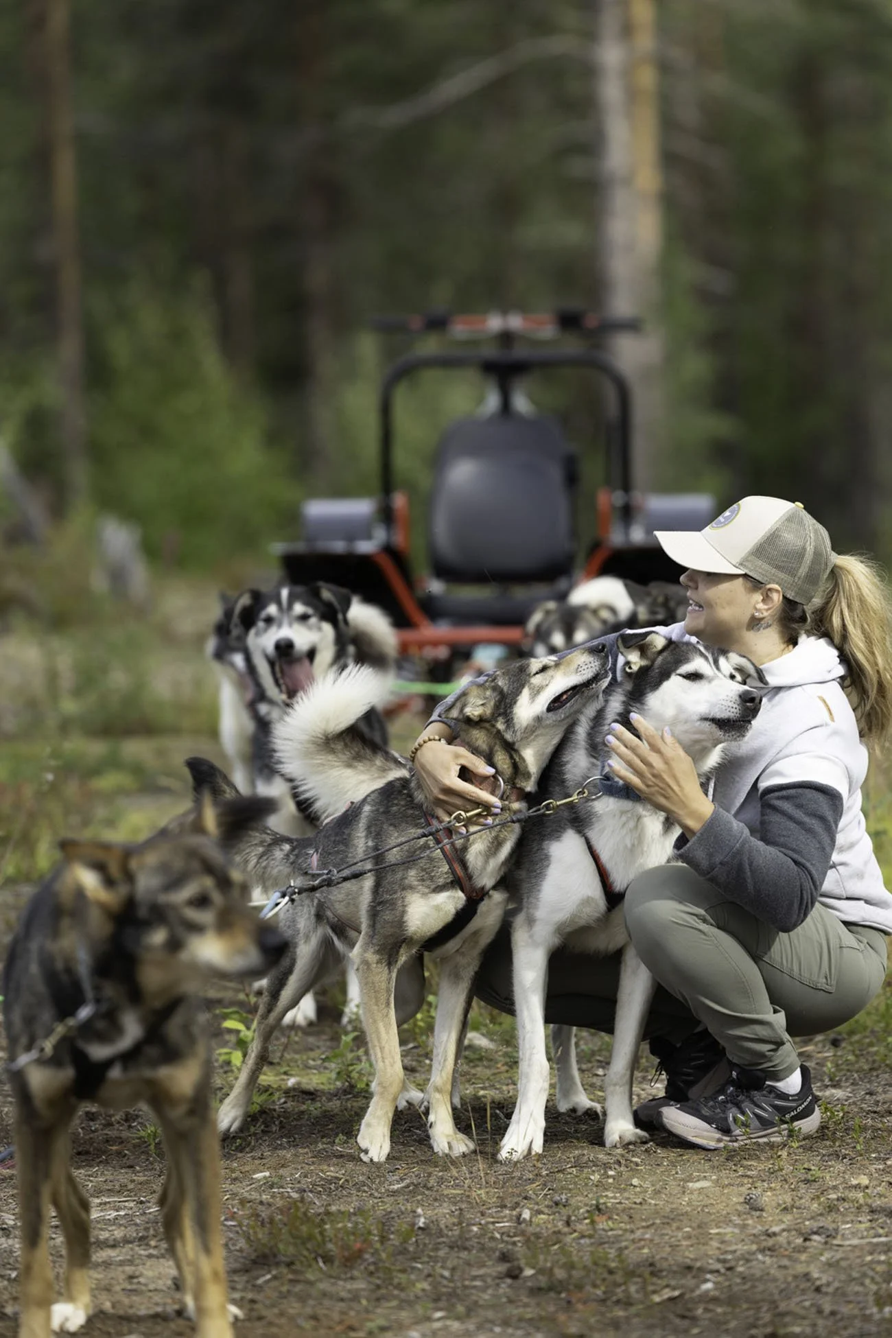 Husky-ranch-Autumn-cart-rides-4.jpg