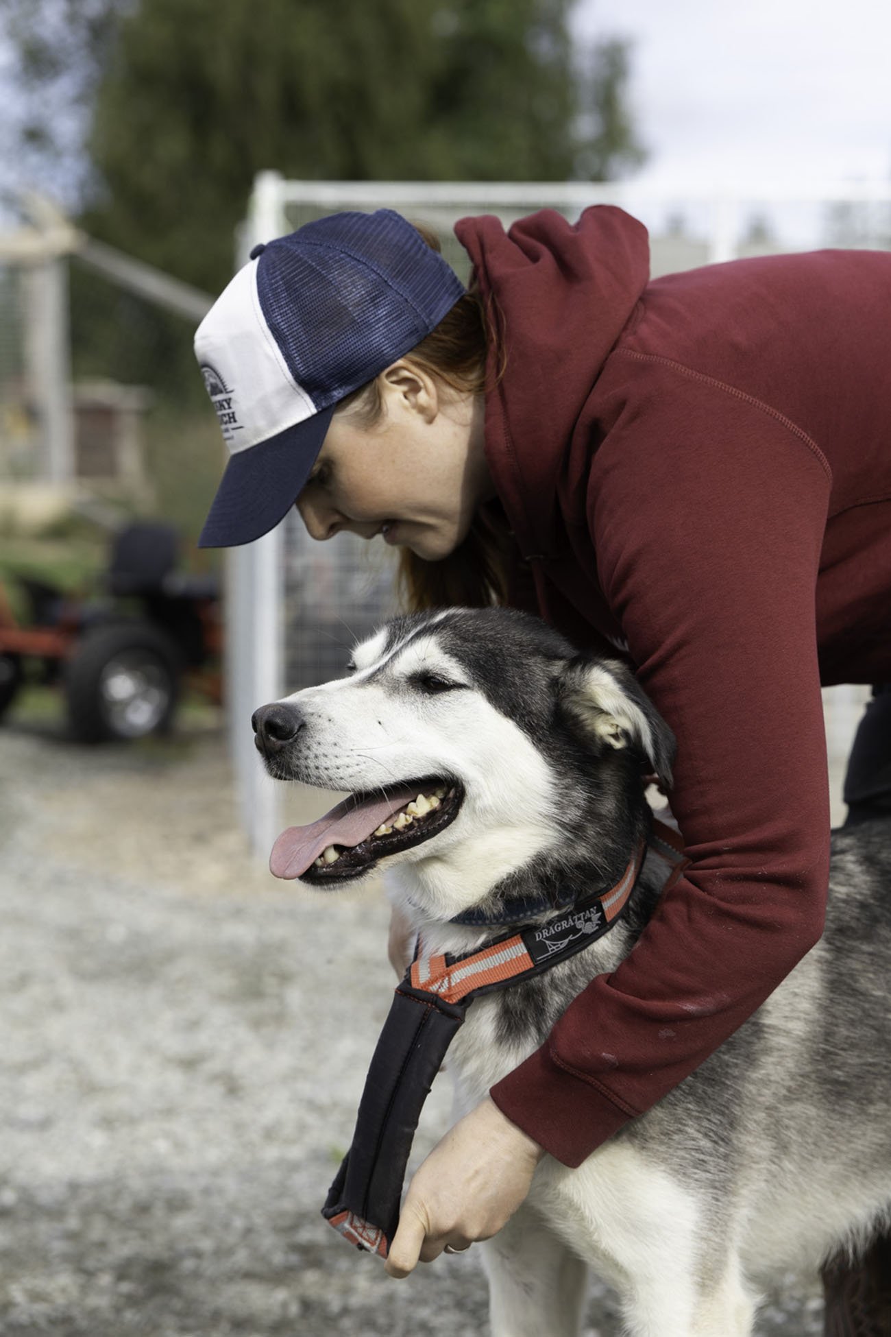 Husky-Ranch-Dogs-5.jpg