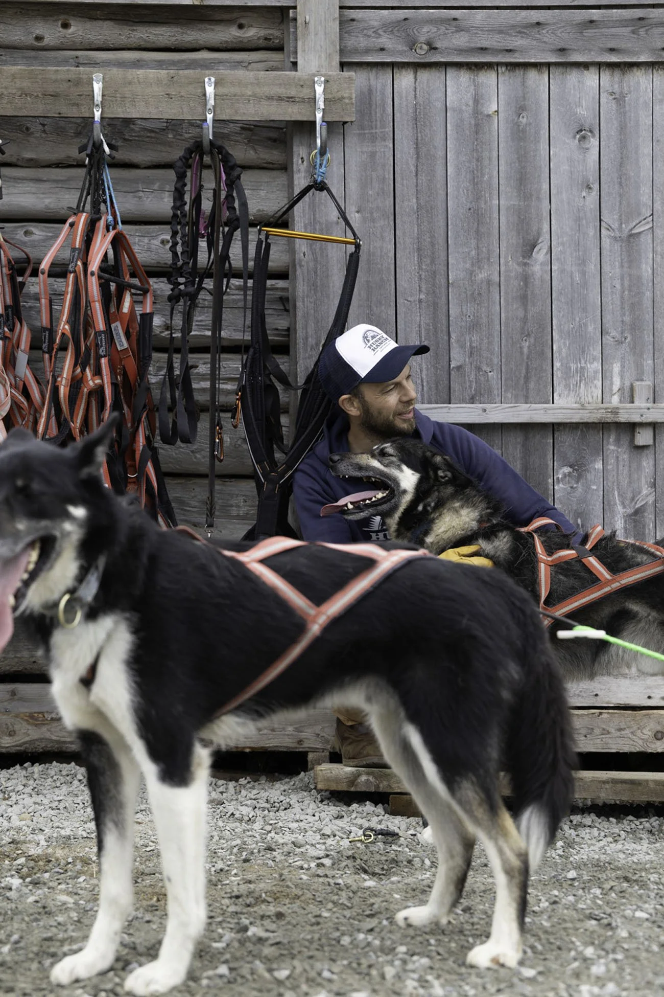 Husky-Ranch-Lapland-15.jpg
