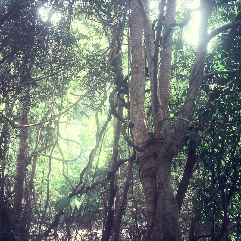 000003-6.jpg
