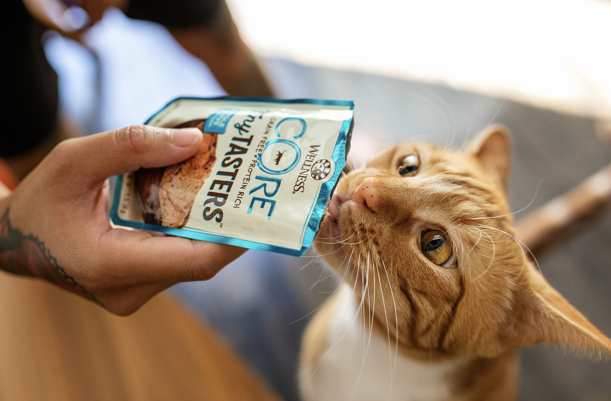 Screenshot 2024-09-24 at 12.01.20 PM.png