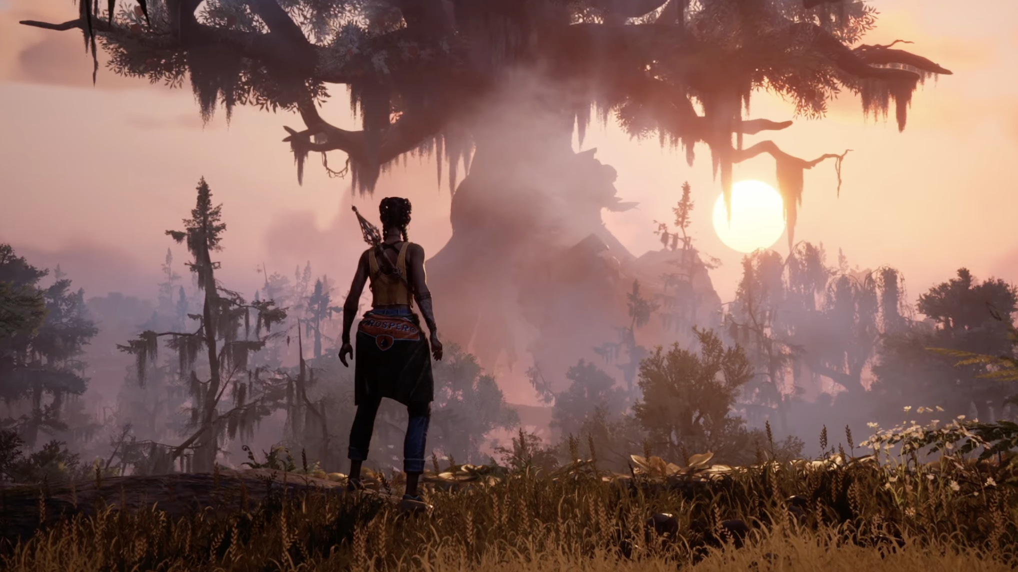SOUTH OF MIDNIGHT DEVELOPER DIRECT 2025