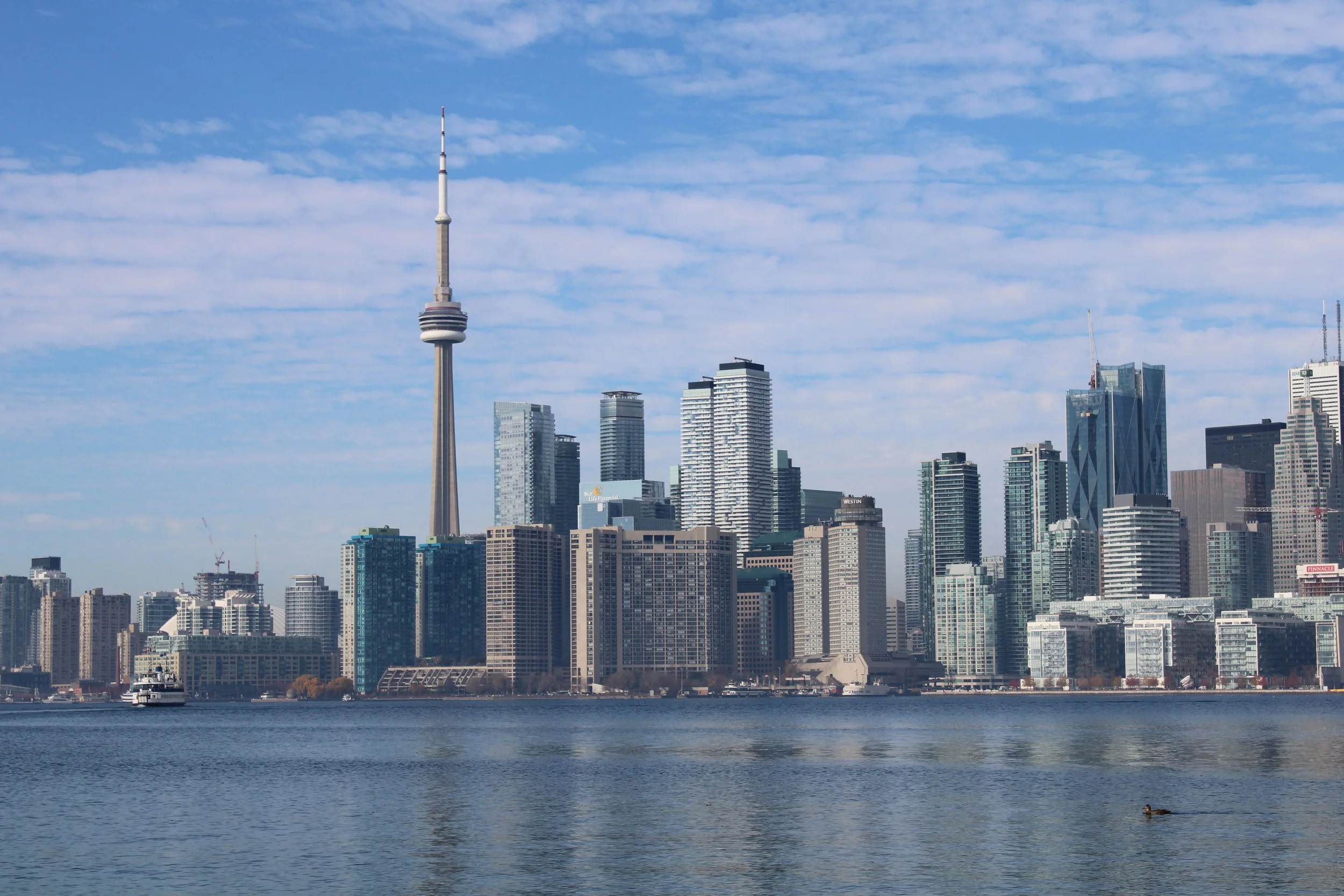 Skyline-TO.jpg